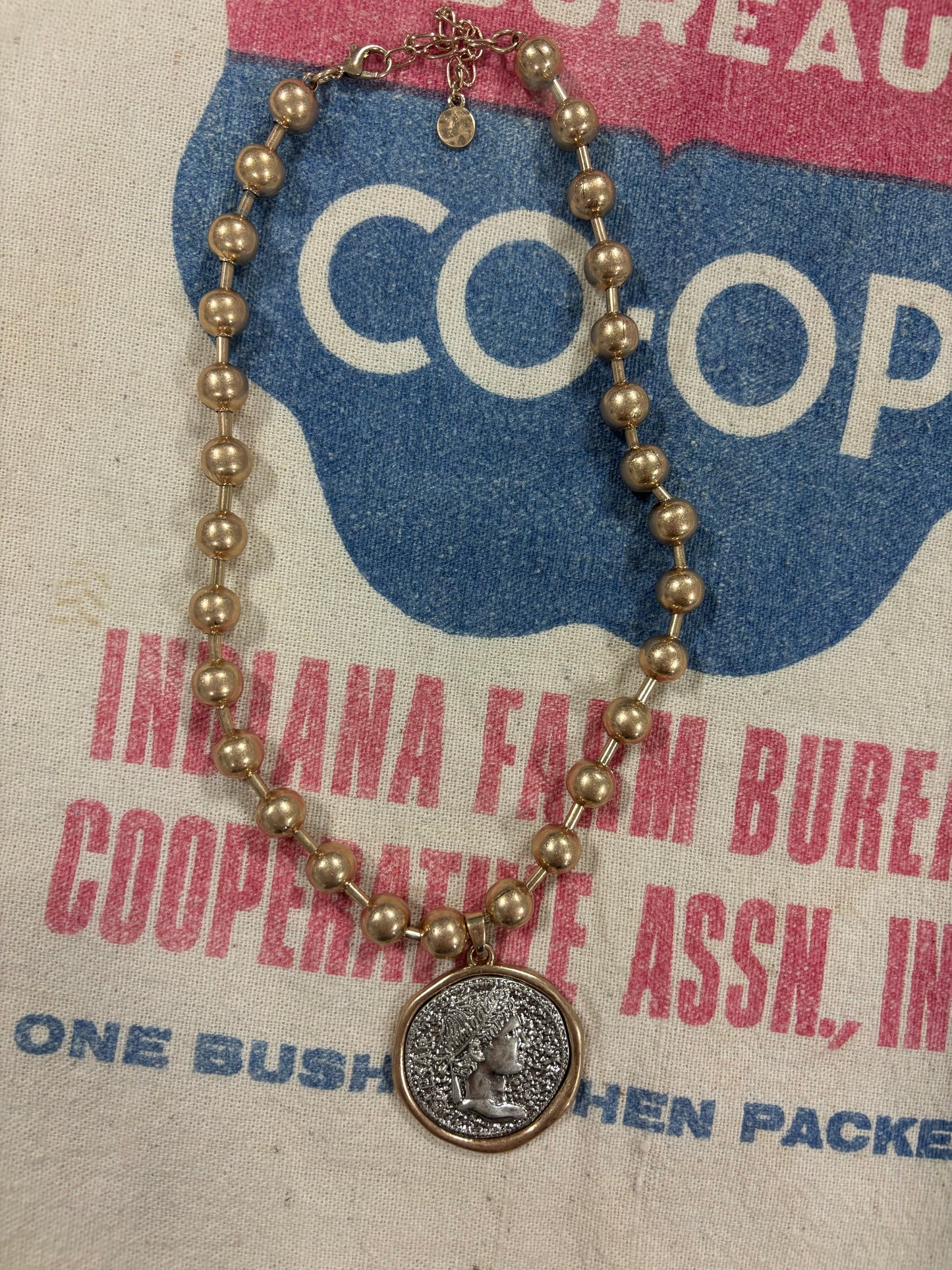 Coin Statement Necklace