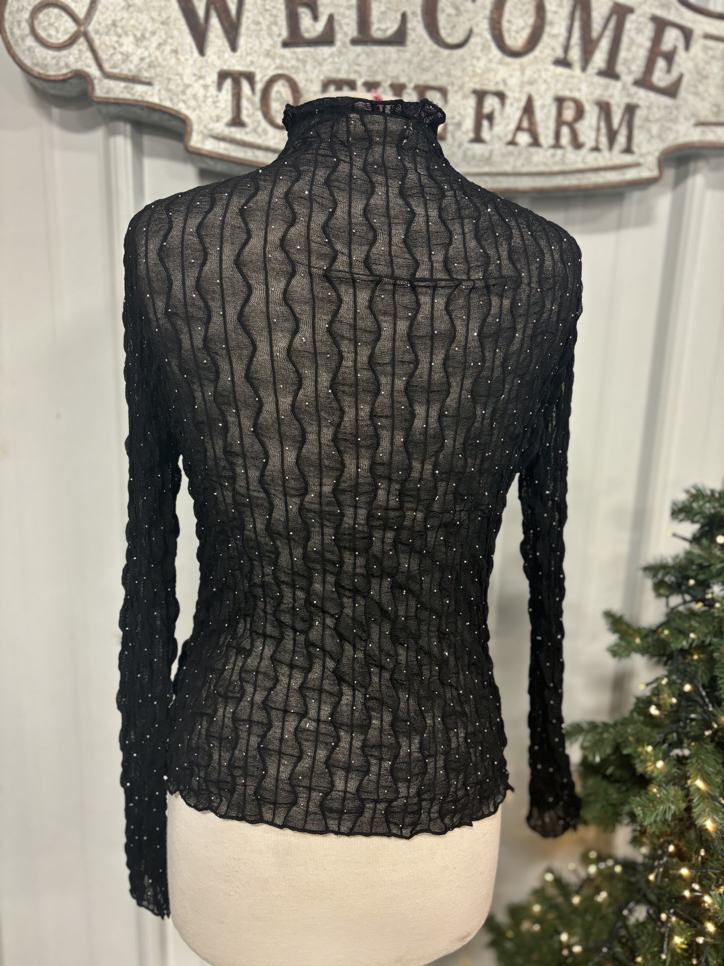 Sparkle and Shine Lace Layer Top