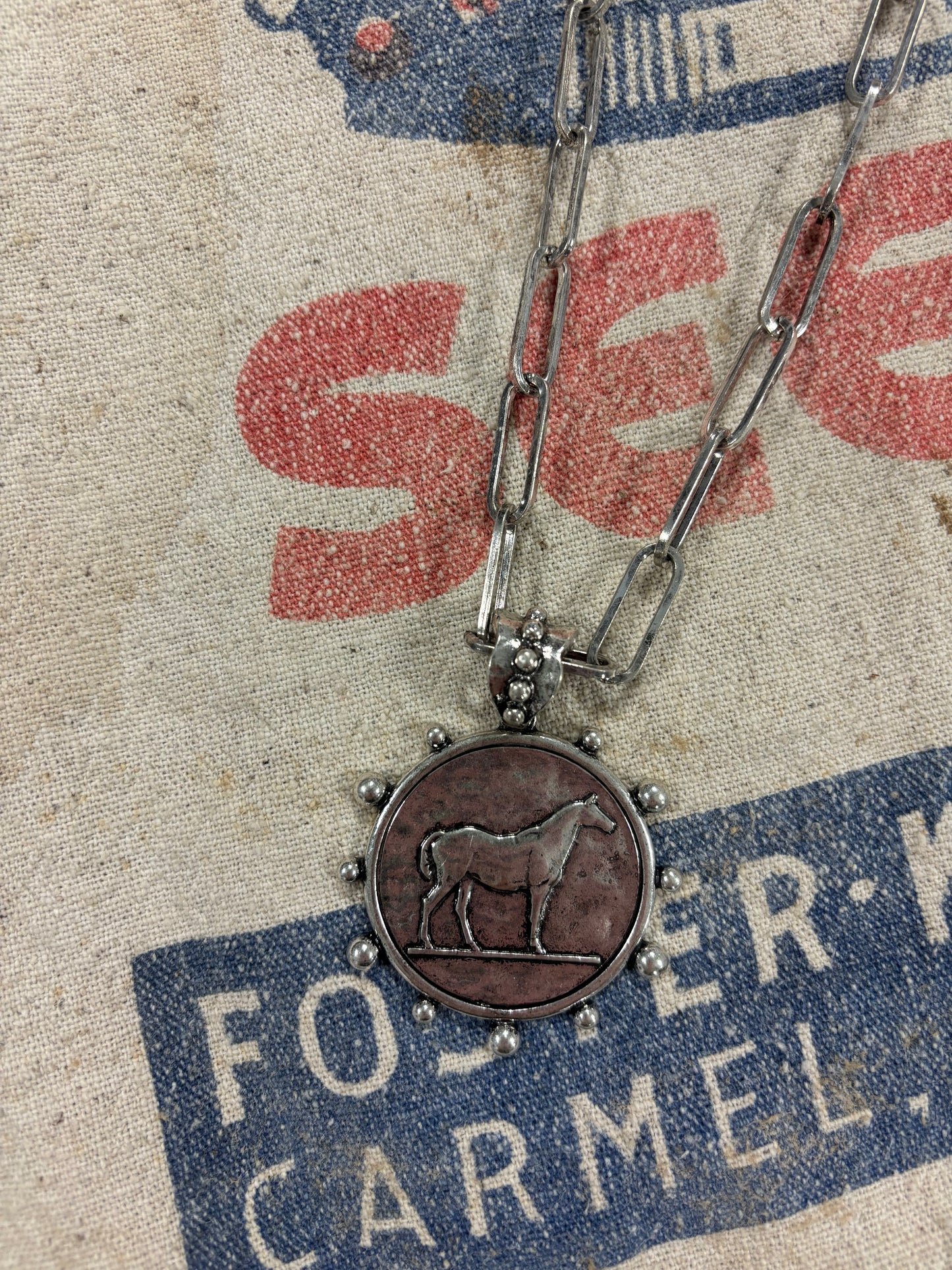 Equestrian Horse Coin Statement Necklace